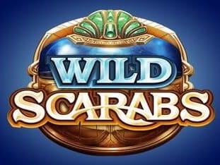 Wild Scarabs